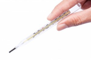 signs of ovulation