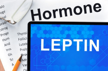 leptin resistance pcos