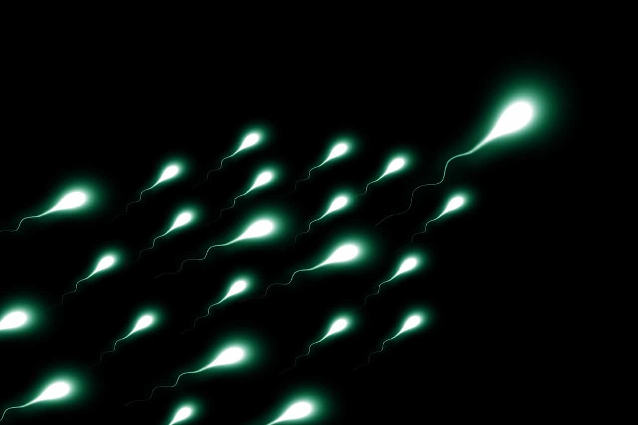 ageing man sperm