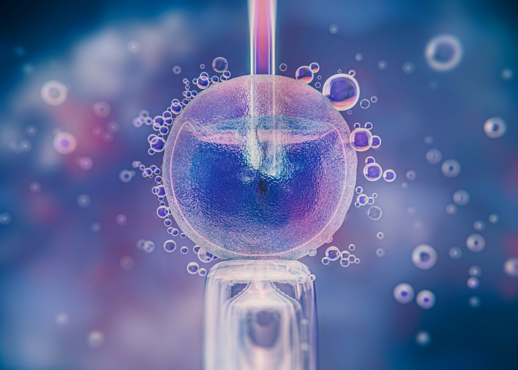 A detailed 3D rendering showing the moment of egg fertilization—an essential step in the IVF process.